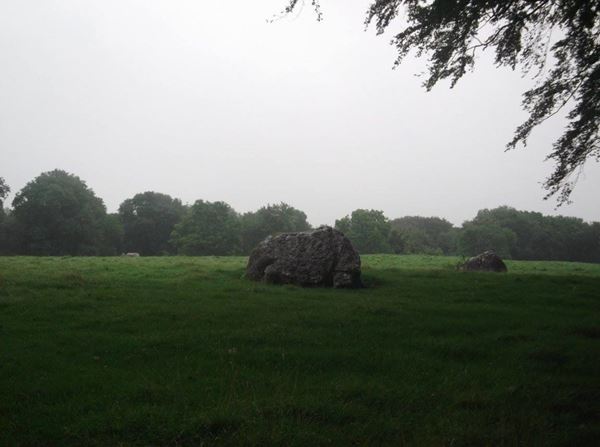 Photo of one large, irregularly shaped stone and one smaller one, in a field surrounded by trees.