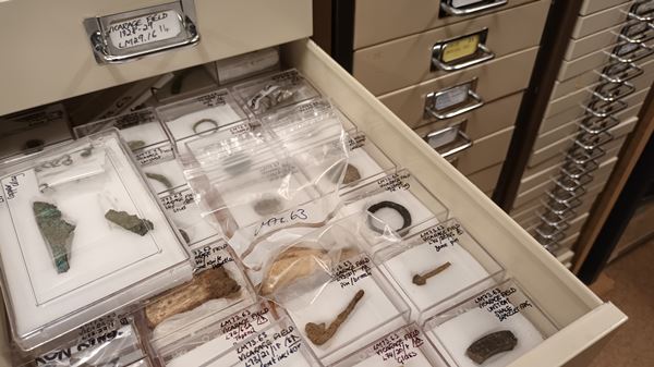 photo of drawer full of labelled archaeological objects