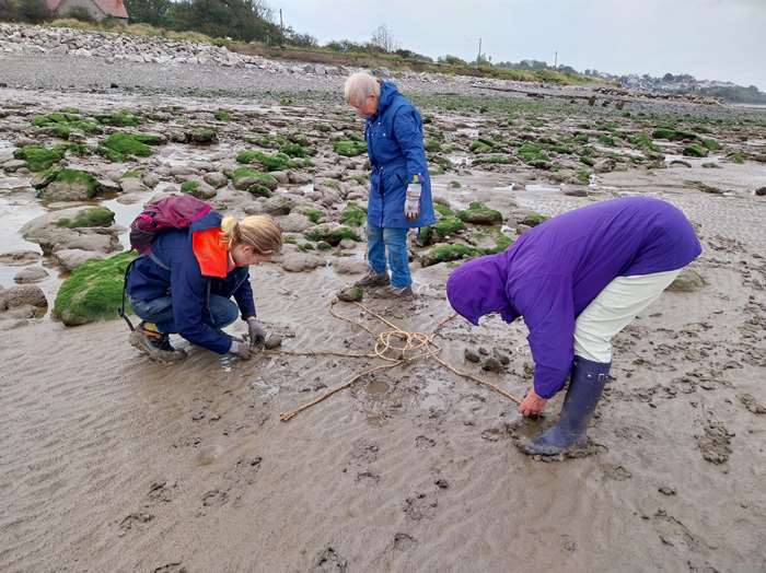 Working on the saltmarsh