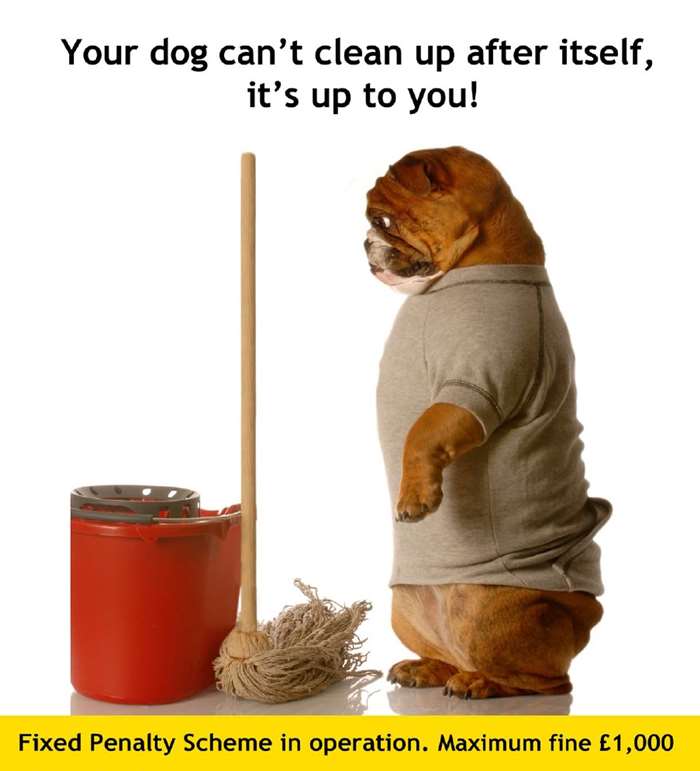 Your dog can't clean up after itself!